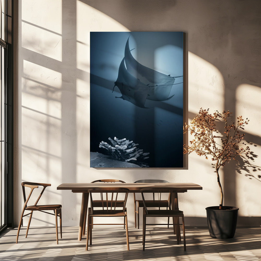 Sonate | Canvas