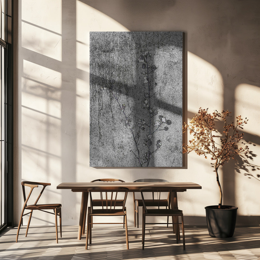 Delicaat verval | Canvas