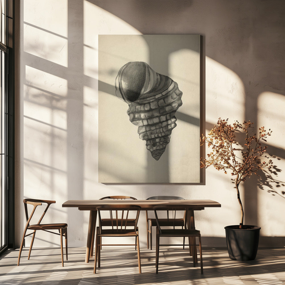 Schelpen | Canvas