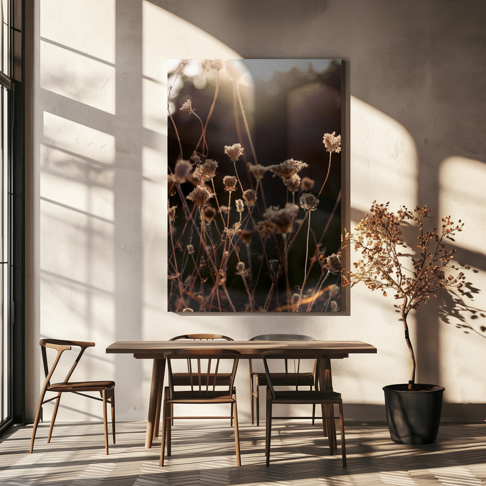 Warm Winterlicht 2 | Canvas