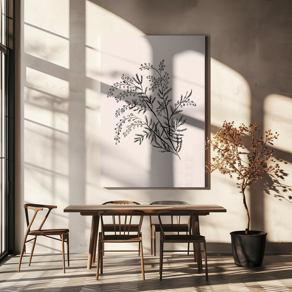 Acacia Botanische tak | Canvas