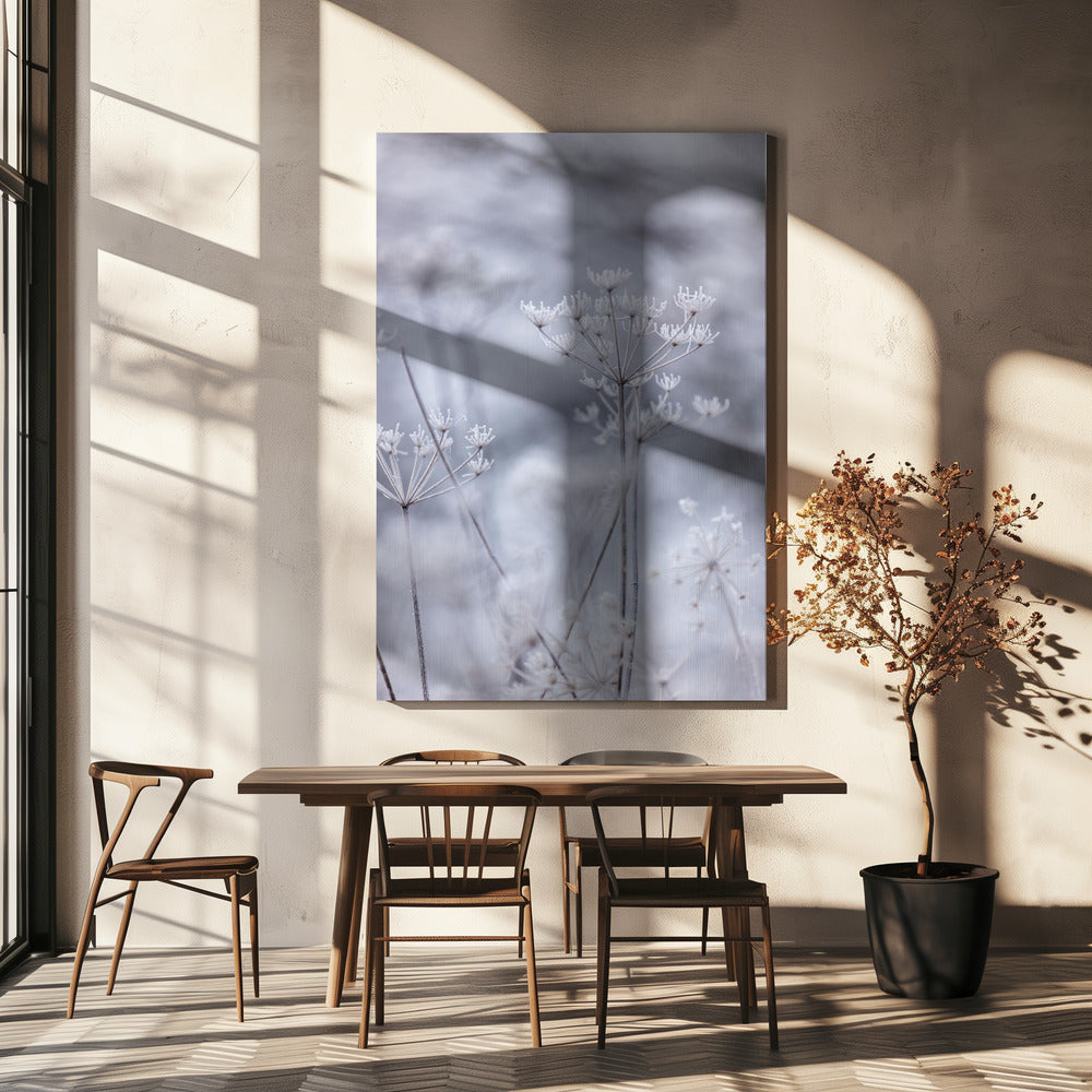 Frozen 5 | Canvas