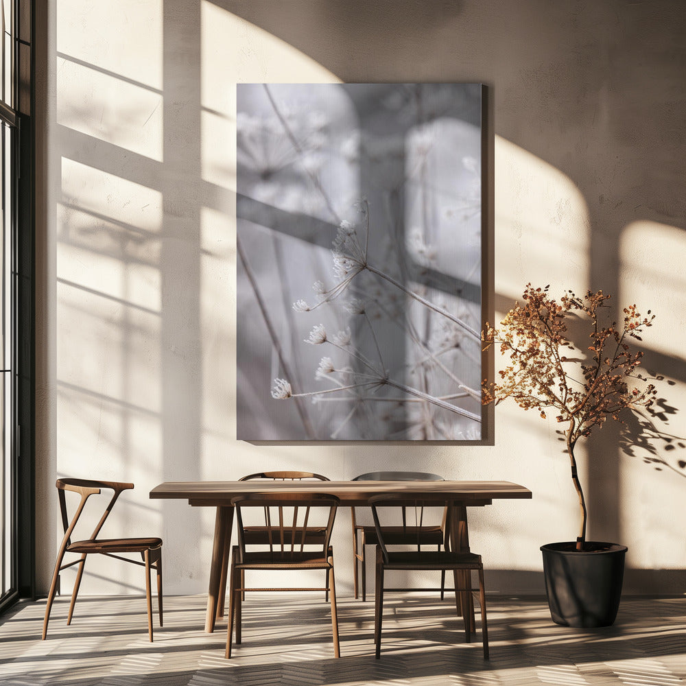 Frozen 6 | Canvas