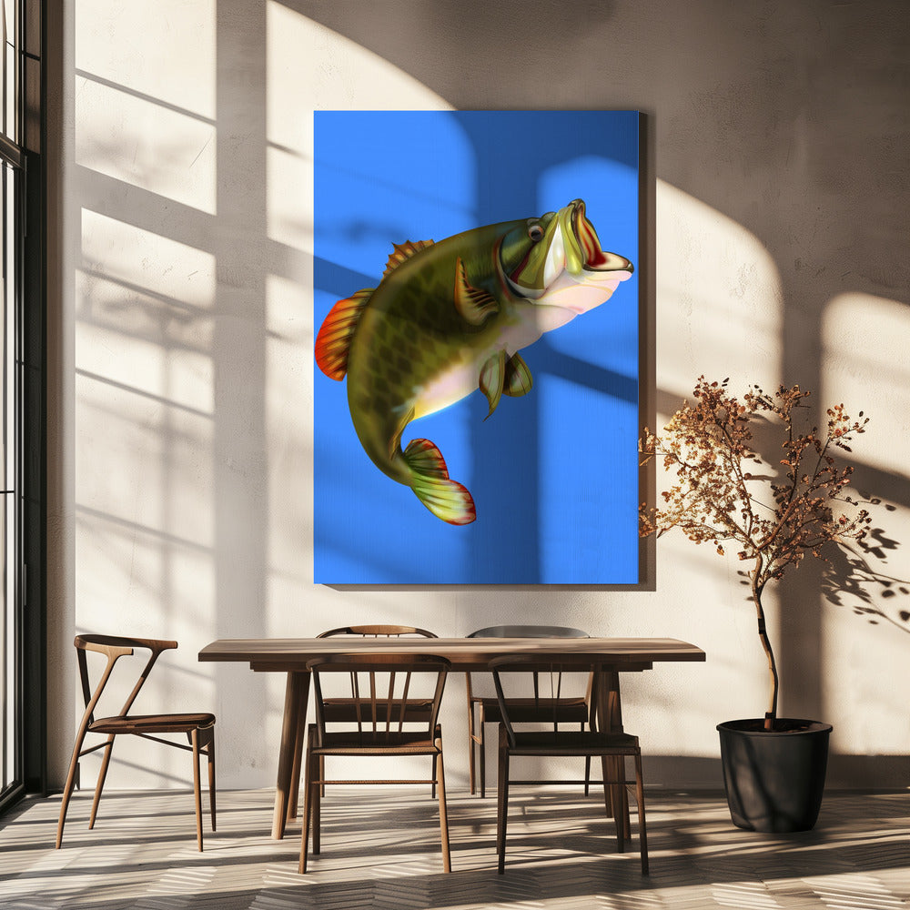 Basvis | Canvas