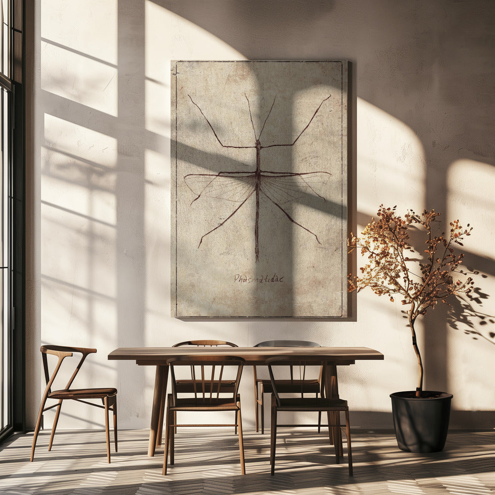Vintage entomologieschets | Canvas