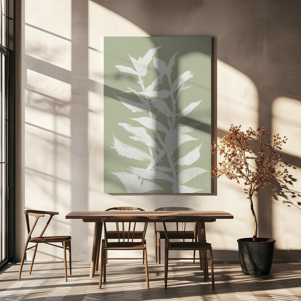 Botan | Canvas
