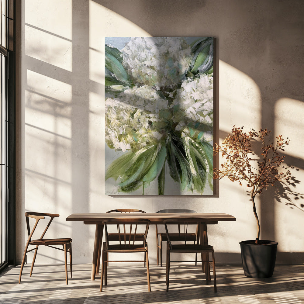 Witte hortensia's met weelderige groene bladeren | Canvas