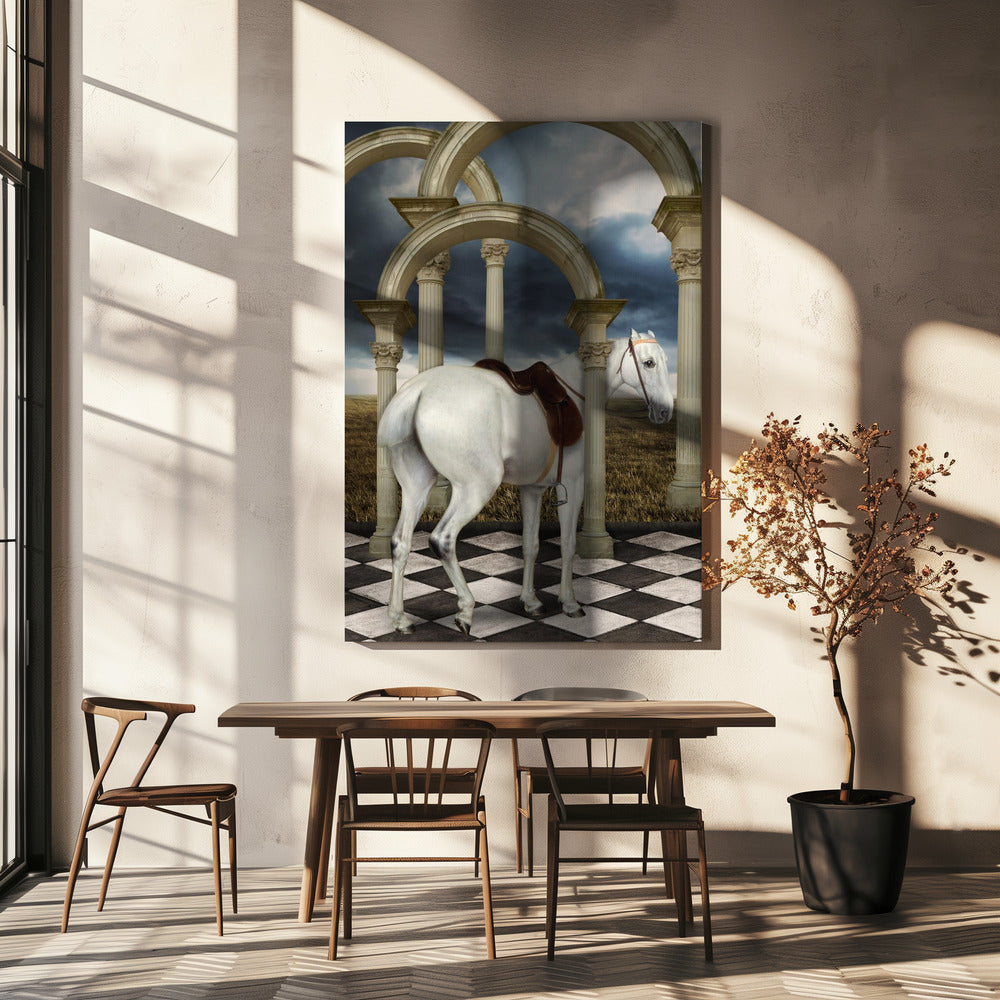 Een grijze jager voor dames | Canvas