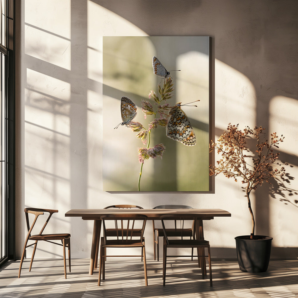 Een soort smeltkroes | Canvas