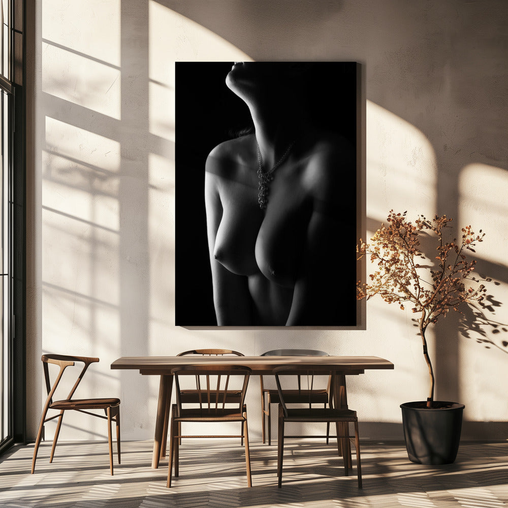 Naakte rondingen | Canvas