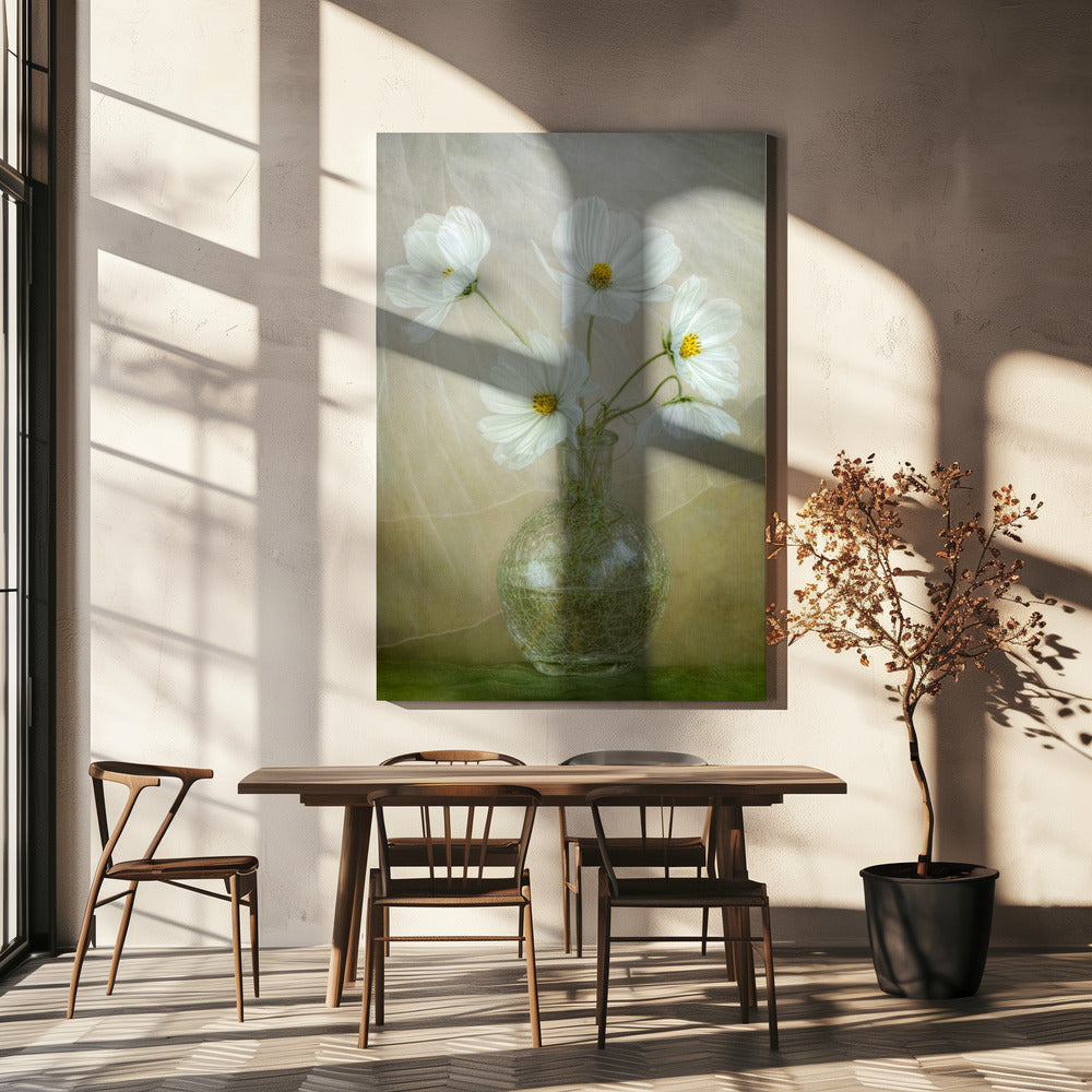 Kosmosbries | Canvas
