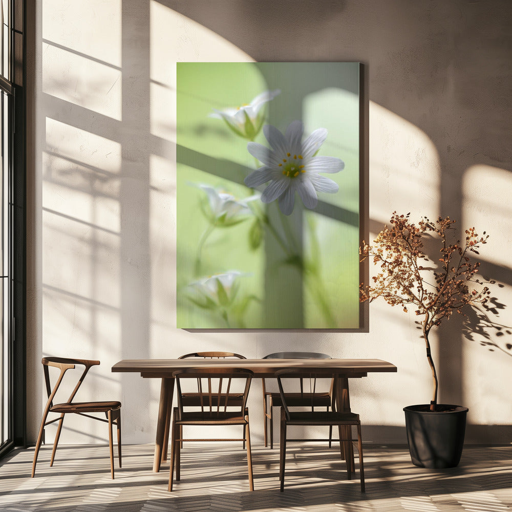 Lente schittering | Canvas