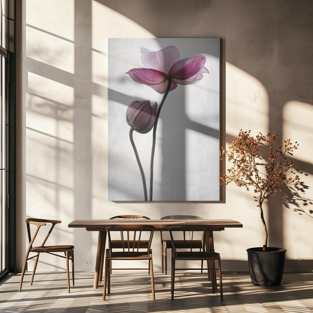Een Kleine Aanraking | Canvas