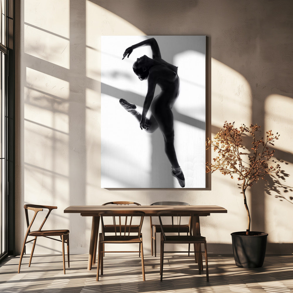 Schone Kunsten Dans ... | Canvas