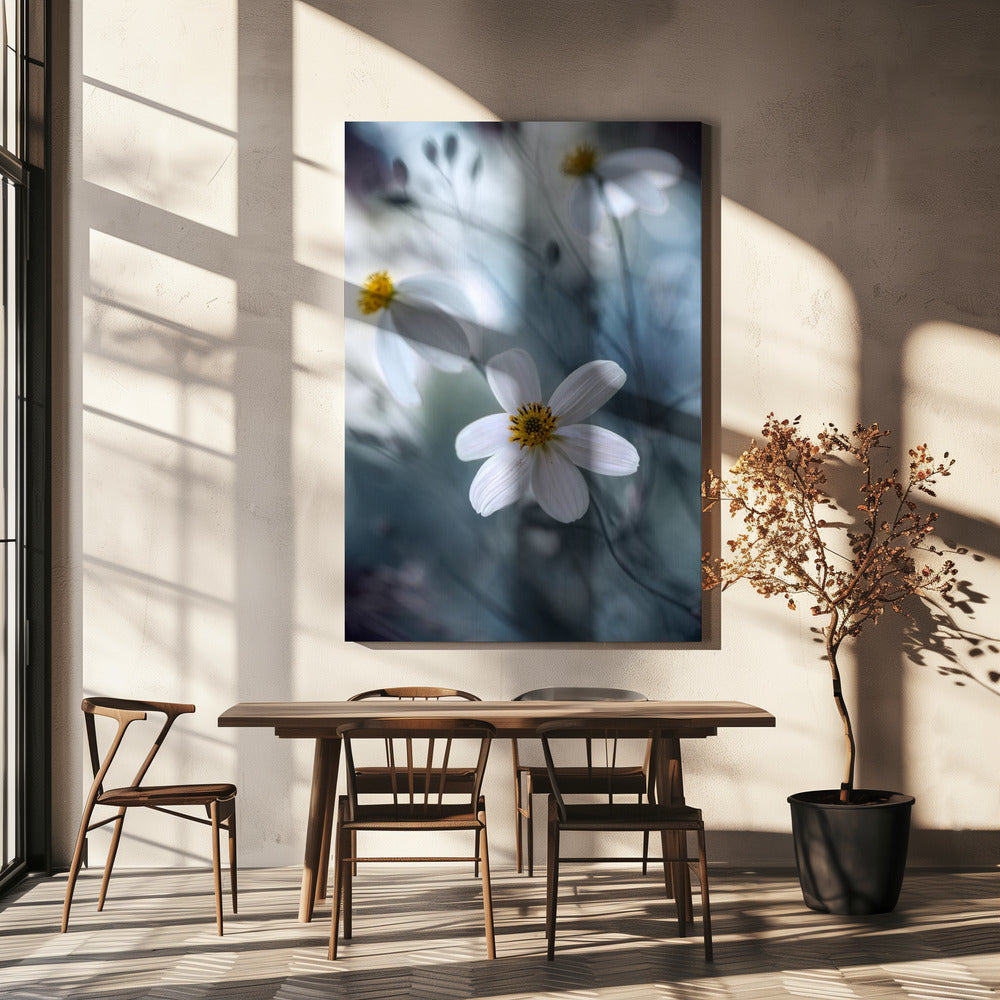 Kosmos | Canvas