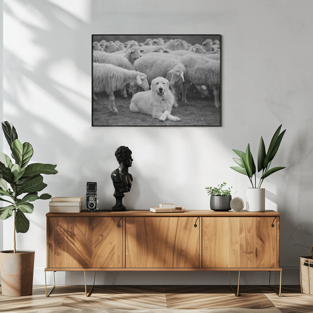 De Baas | Poster