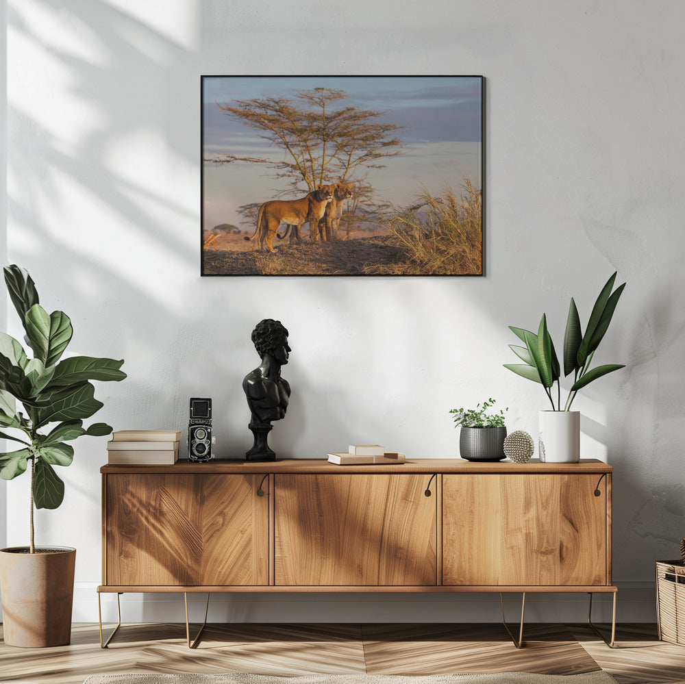 Zussen | Poster