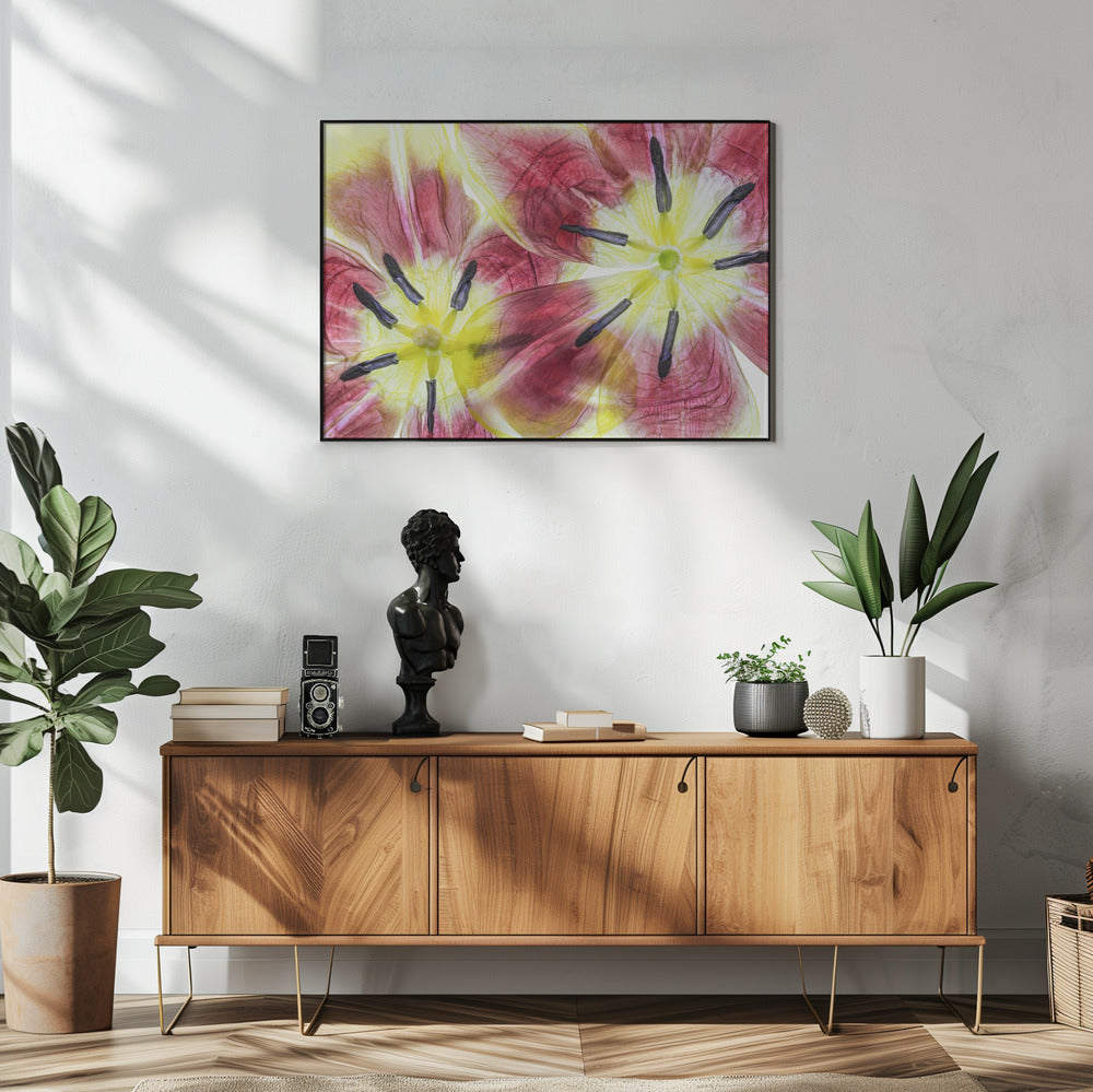 Tulpen | Poster