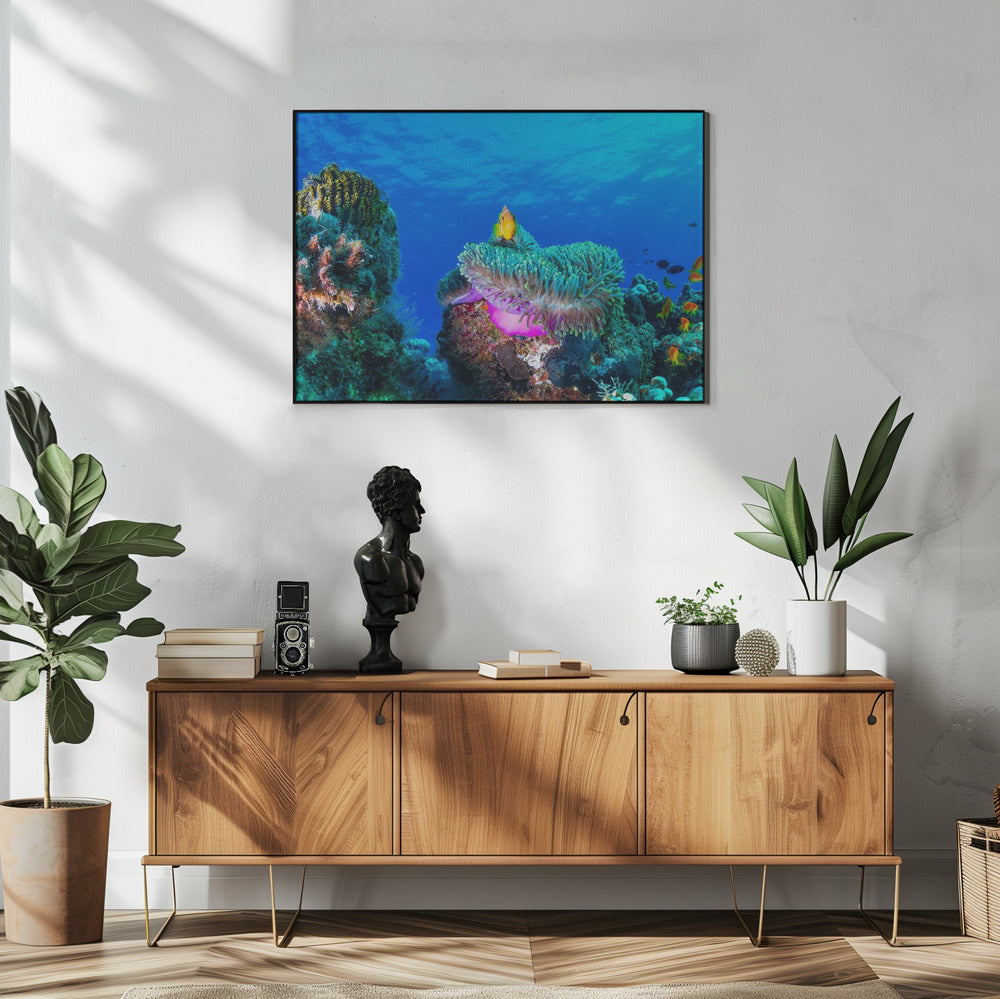 Sea life | Poster