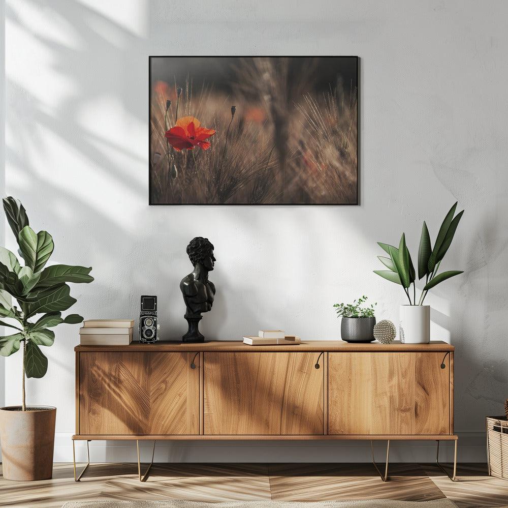 Klaproos met maïs | Poster