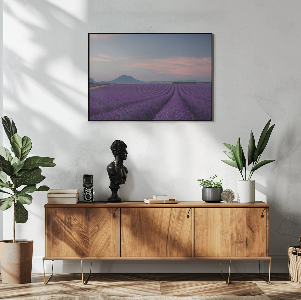 Lavendelveld | Poster