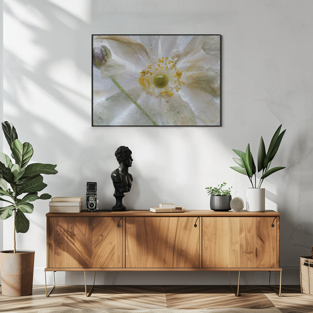 Bloemen bevriezen | Poster