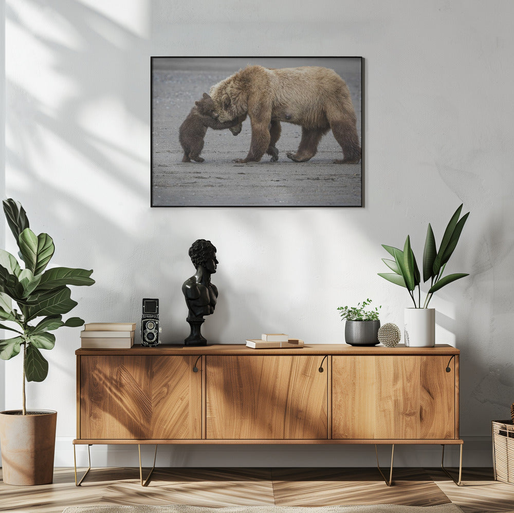 Een kleine berenknuffel | Poster