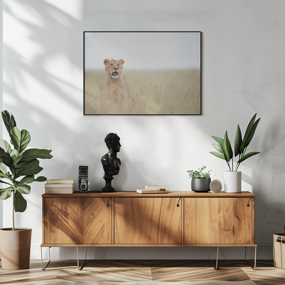 Jonge Leeuw | Poster