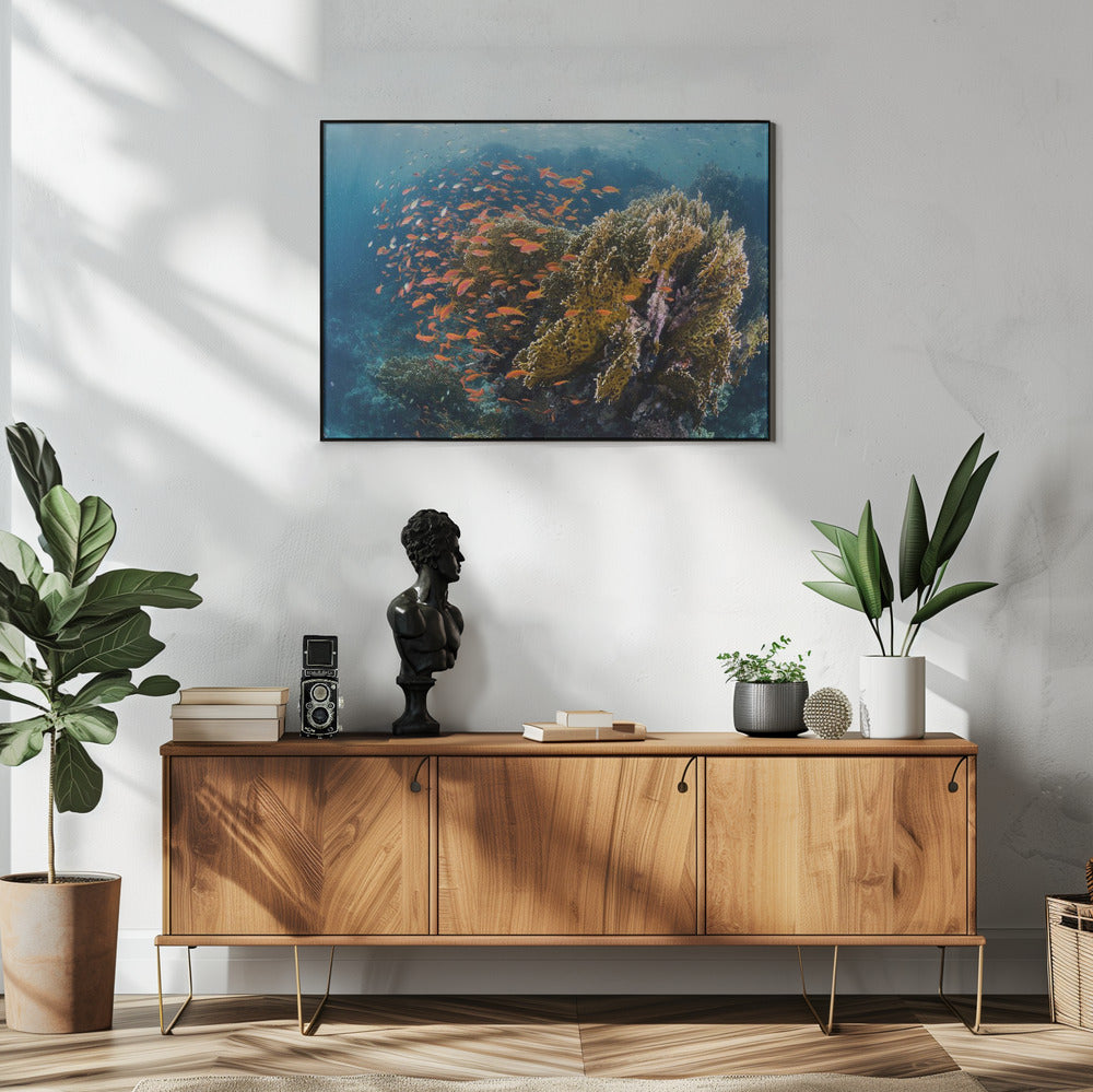 Reefscape | Poster