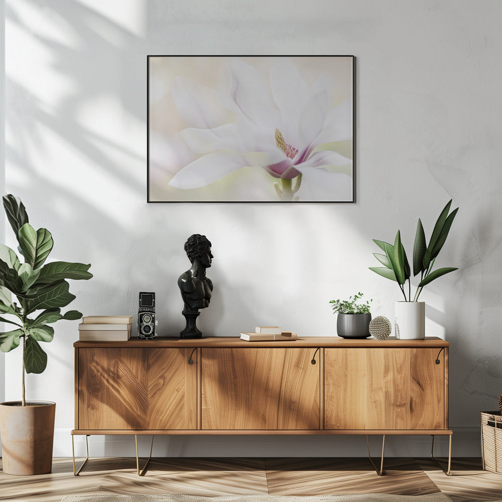Zuiverheid | Poster