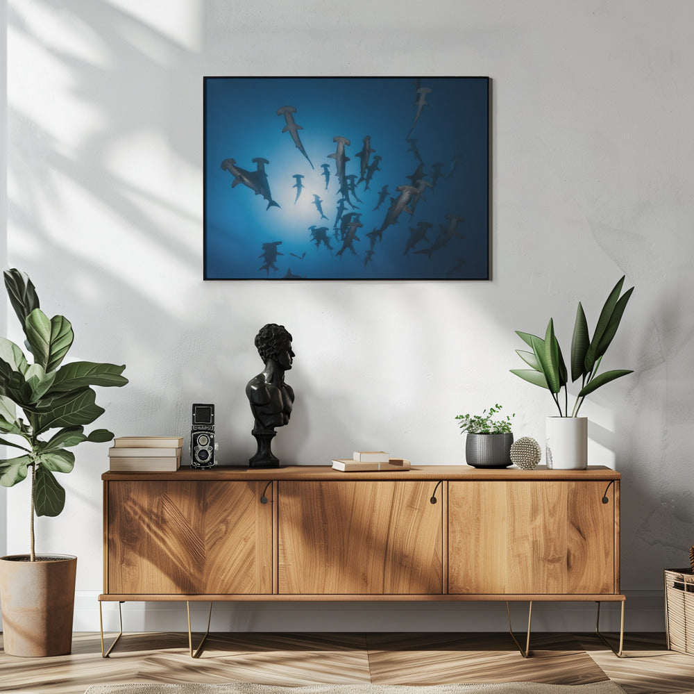 Hamerhaai - Onderwaterfotografie | Poster