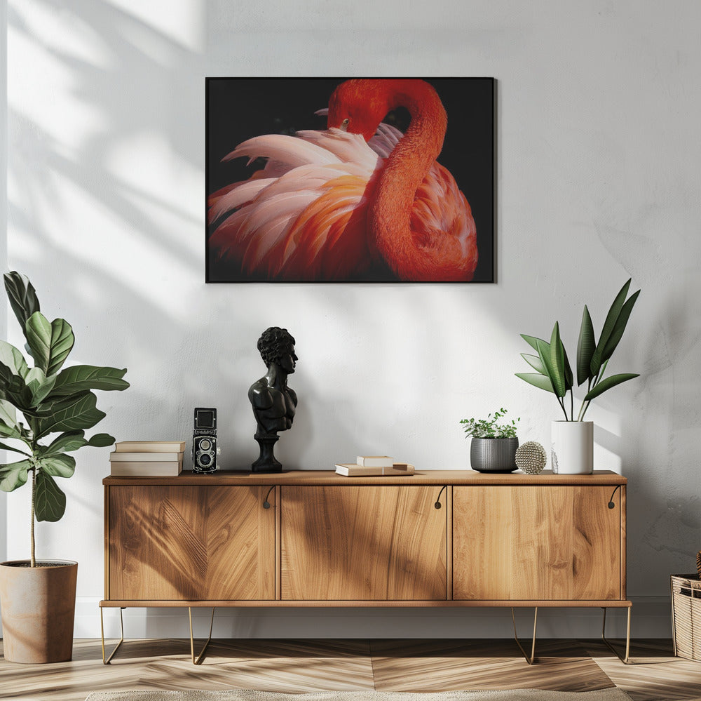 flamingo | Poster