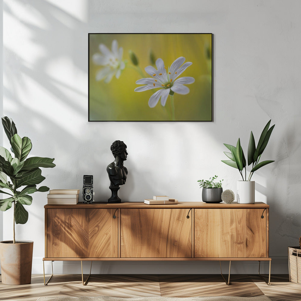Steekkruid | Poster