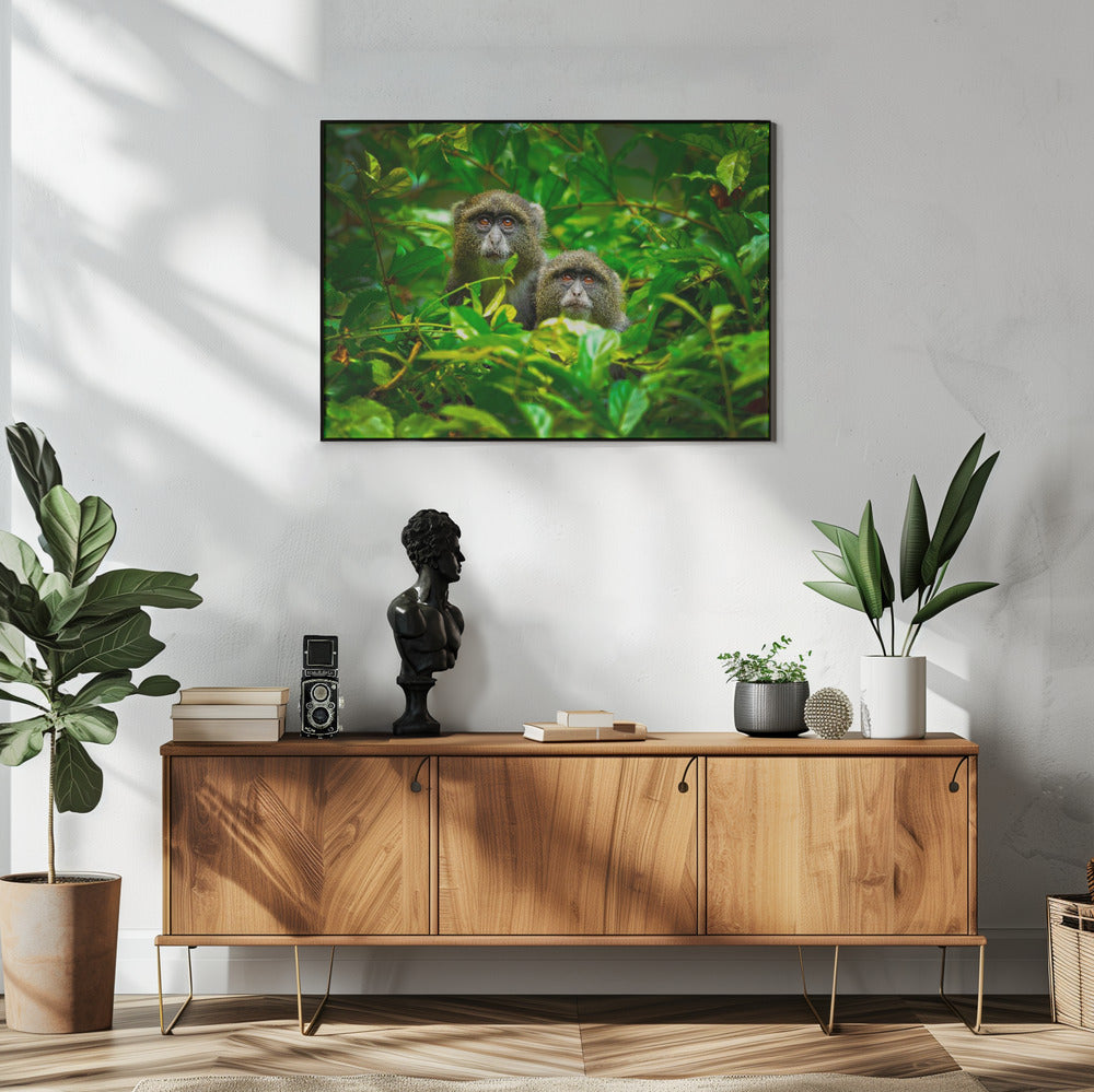 Blue Monkey | Poster