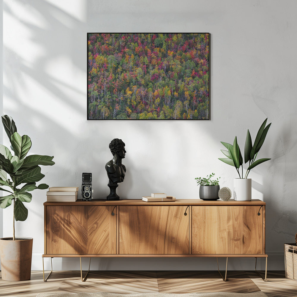 Color palette | Poster