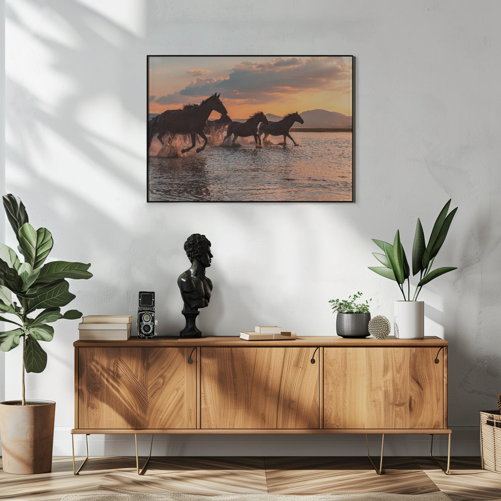 WATERPAARDEN | Poster
