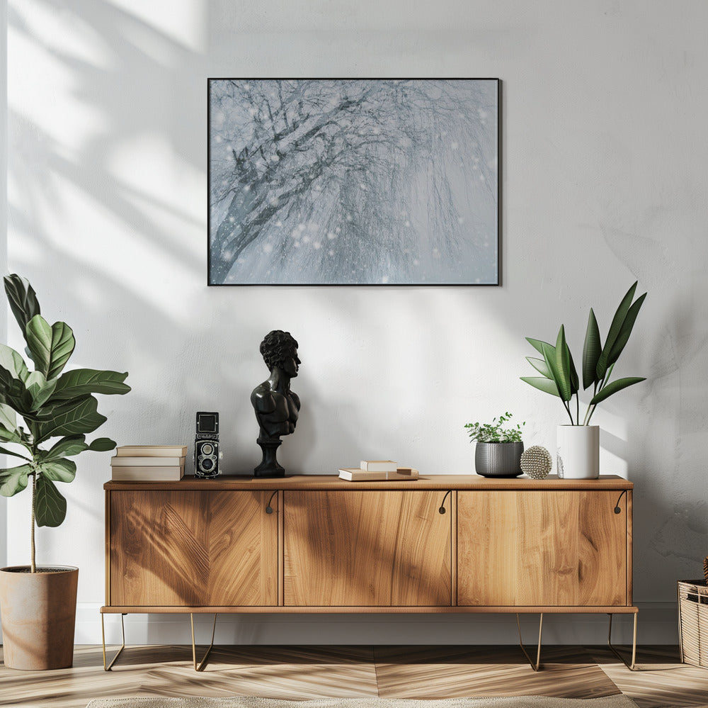 Winterboom | Poster