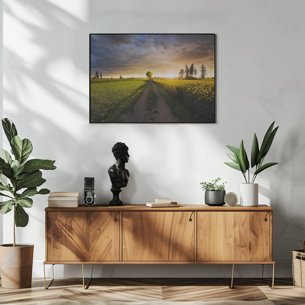 Zomerweide | Poster