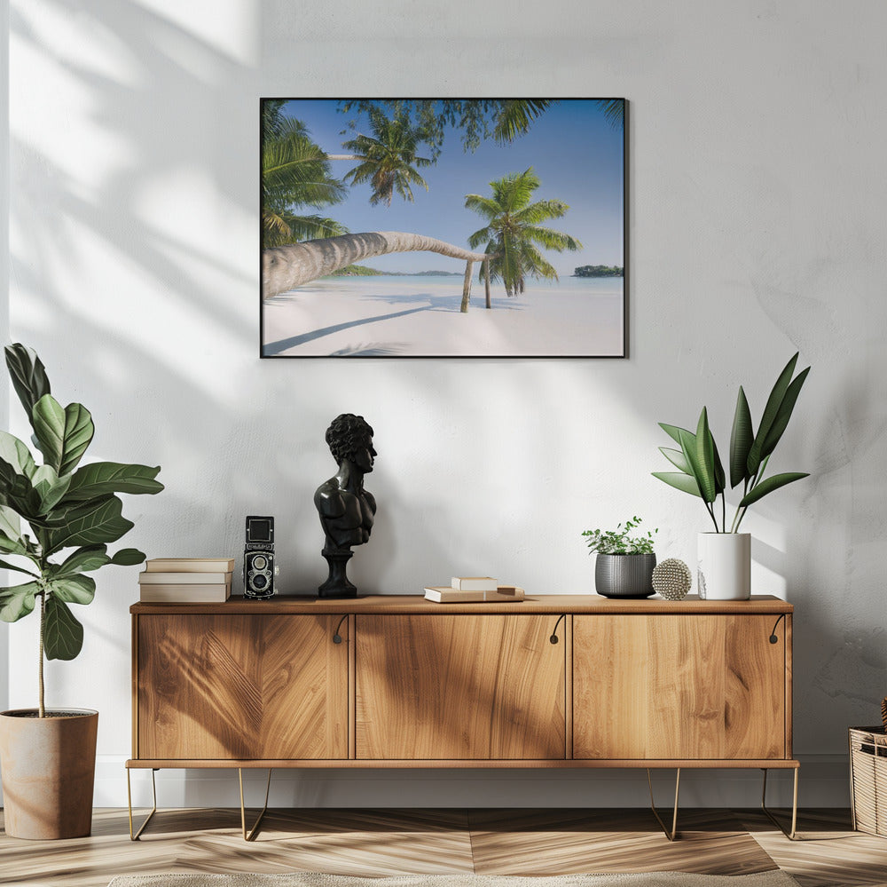 Tropische palm | Poster