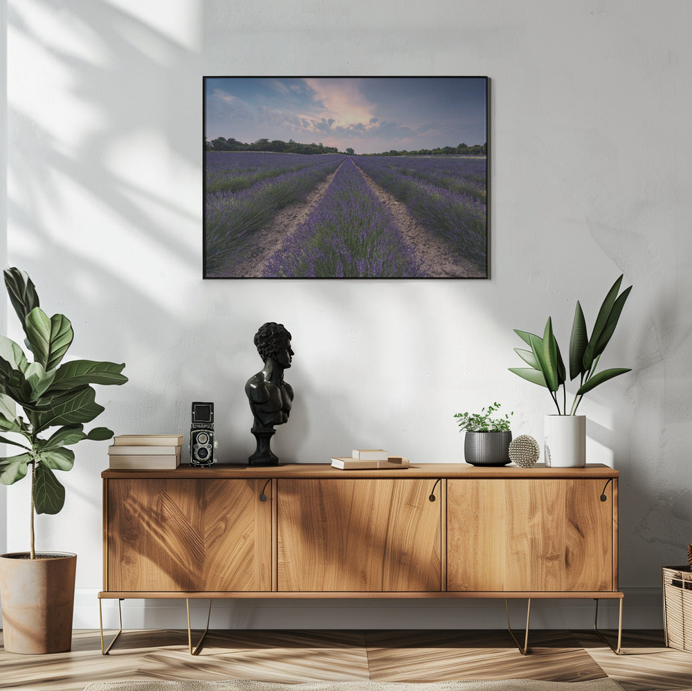 Blauwe Lavendel | Poster
