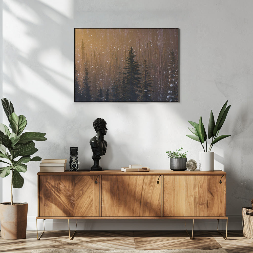 Sneeuwvlokken | Poster