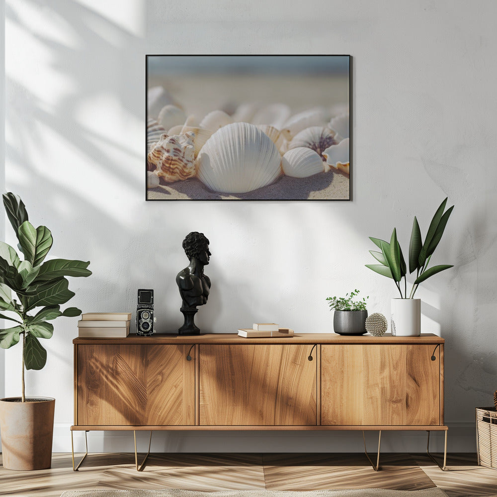 Seaside Shells | Poster