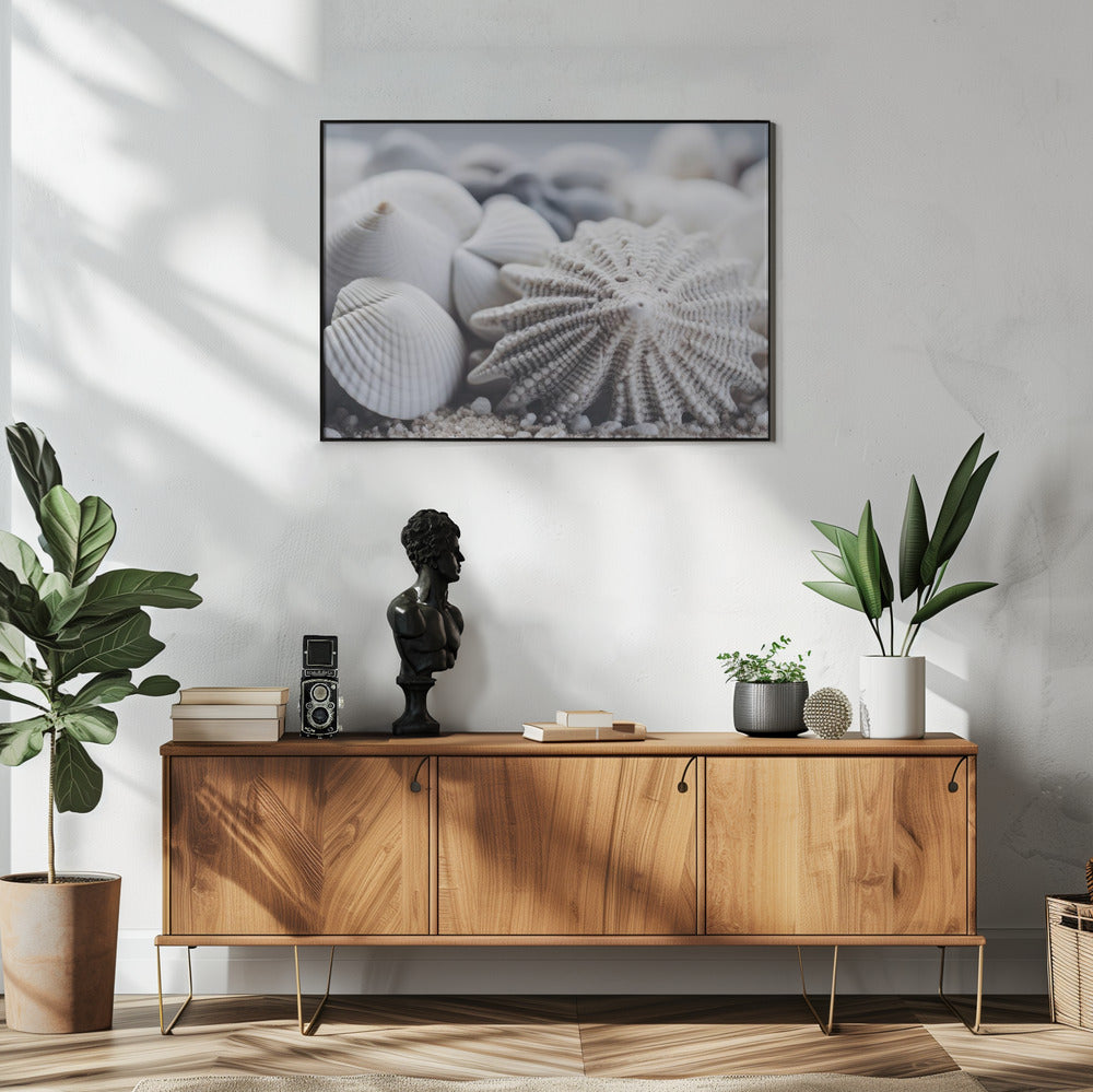 Seashell Serenity | Poster