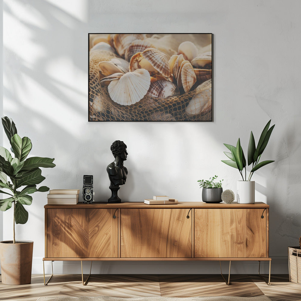 Schelpensymfonie | Poster