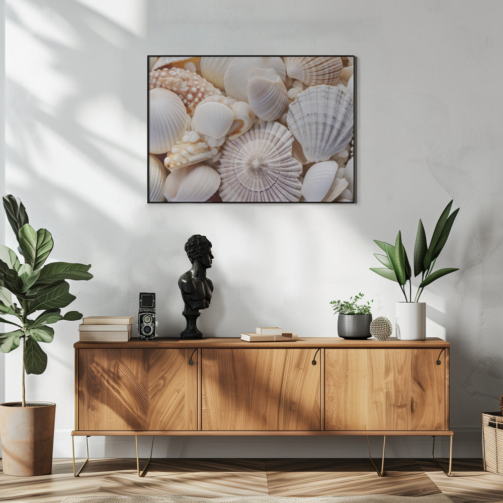 Seashell Symphony | Poster