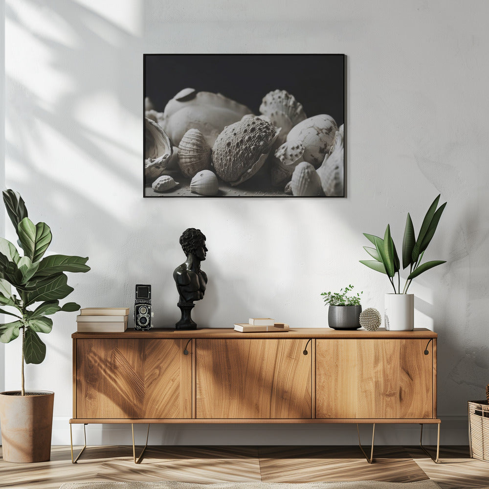 Shell Symphony | Poster