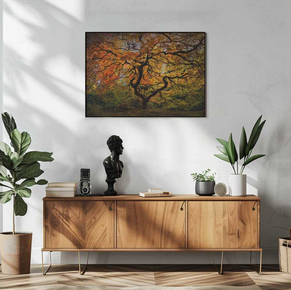 De esdoorn | Poster