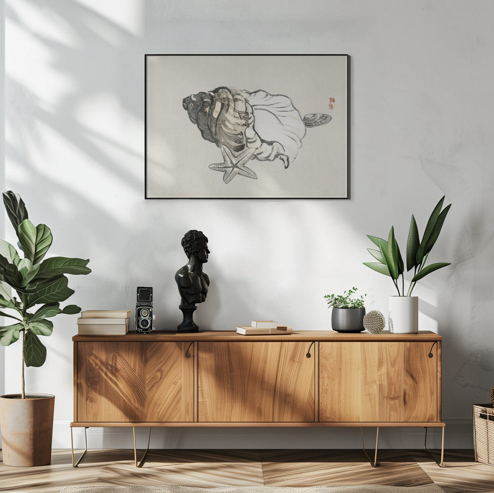 Zeester en schelp | Poster