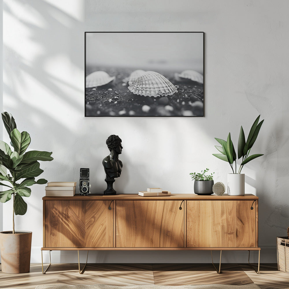 Zeeschelpensereniteit | Poster