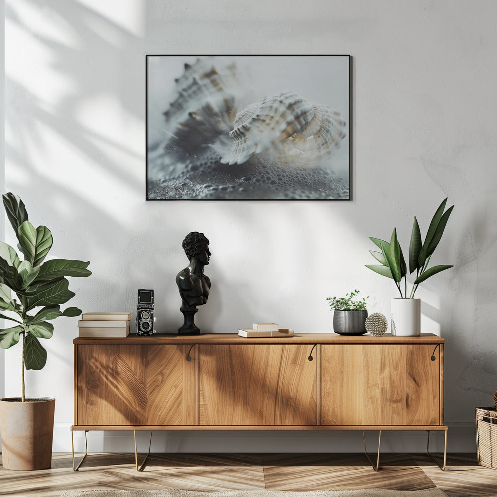 Zeeschelpensereniteit | Poster